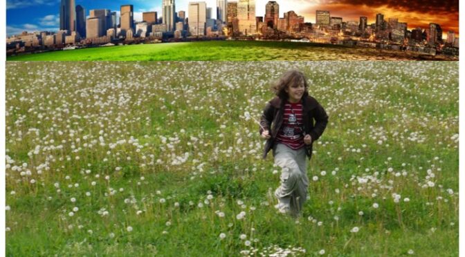 Geleitwort: Resiliente Stadtquartiere als Antwort auf globale Krisen